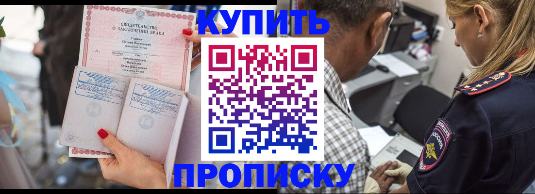 прописка законно в Волгореченске